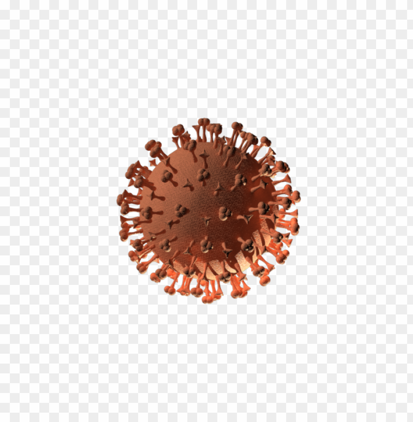 וירוס קורונה קוביד 19
